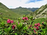 MONTE MINCUCCO (croce 1832 m - cima 2001 m) ad anello dal piano del Lago di Valmora il 17 luglio 2021 - FOTOGALLERY